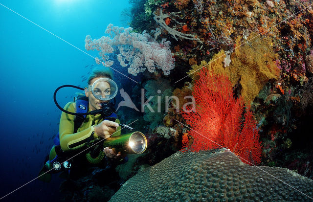 Nationaal Zeereservaat Wakatobi