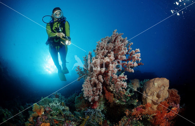 Nationaal Zeereservaat Wakatobi