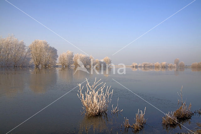 Nederrijn