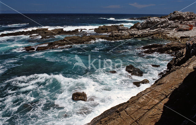 Tsitsikamma National Park