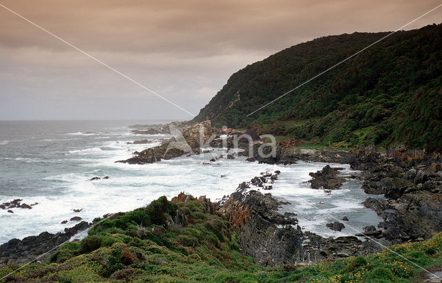 Tsitsikamma National Park