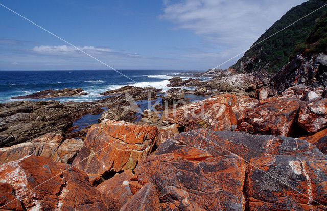 Tsitsikamma National Park