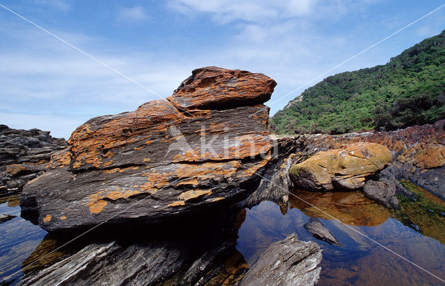 Tsitsikamma National Park