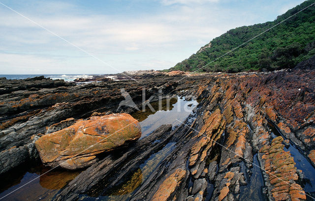 Tsitsikamma National Park