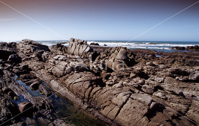 Tsitsikamma National Park