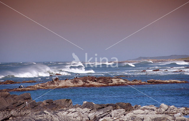 Tsitsikamma National Park