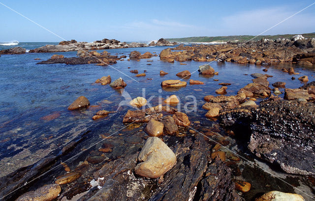 Tsitsikamma National Park