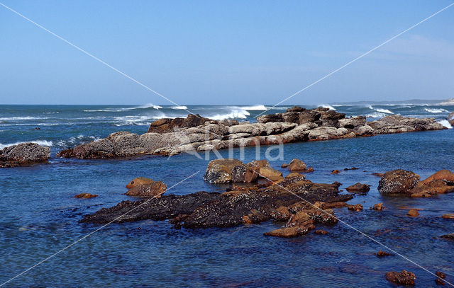 Tsitsikamma National Park