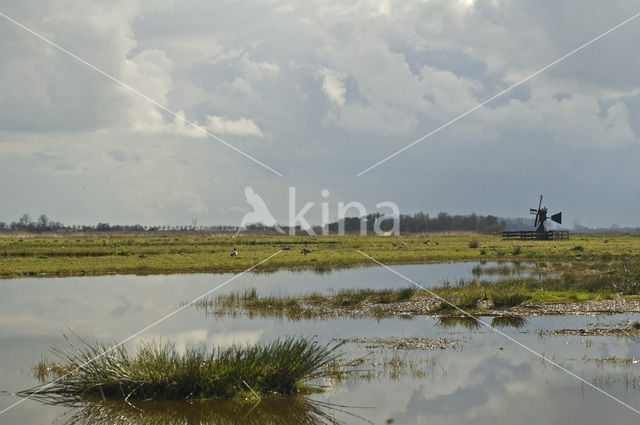 Wormer- en Jisperveld