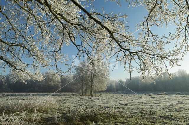 De Mortelen en Heerenbeek