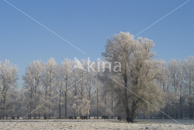 De Mortelen en Heerenbeek