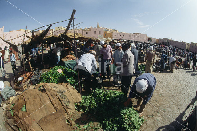 Ghardaia