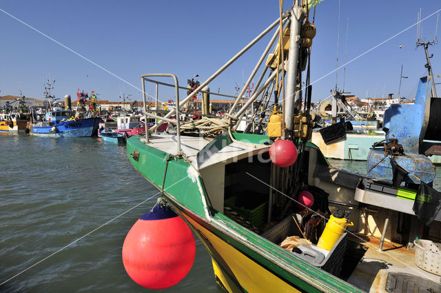 Ile d’ Oleron