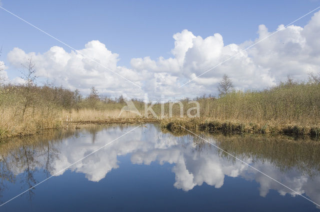 Nationaal Park Weerribben-Wieden