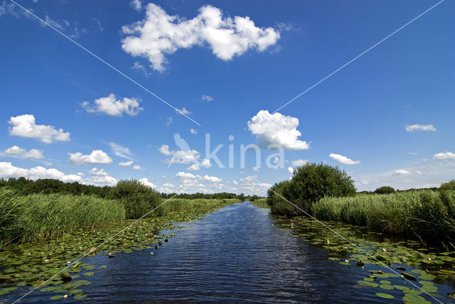 Nationaal Park Weerribben-Wieden