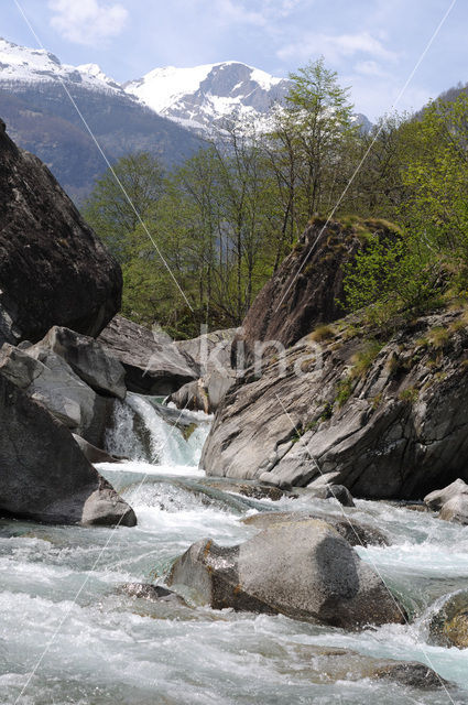 Vallemaggia