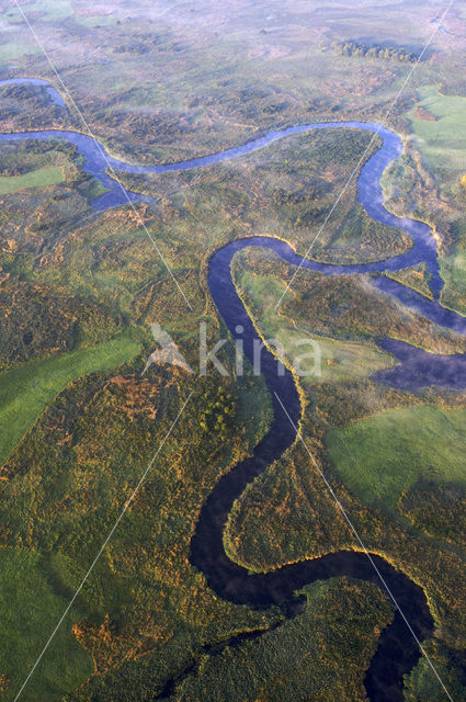 Biebrza National Park