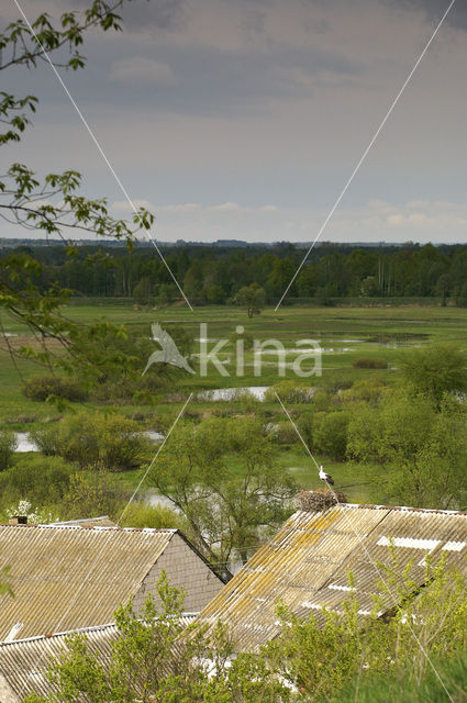 Biebrza National Park