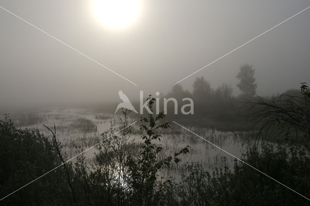 Biebrza National Park