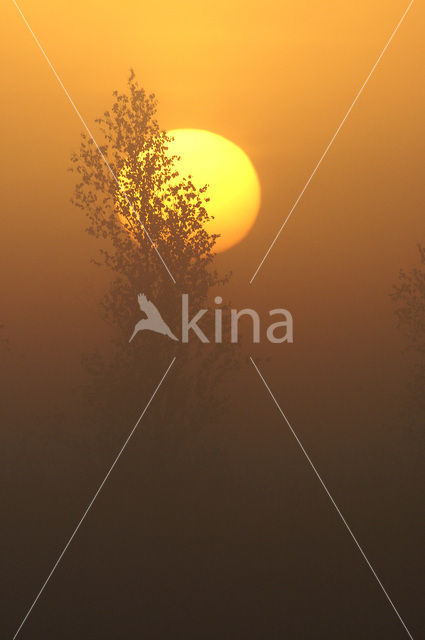 Biebrza National Park