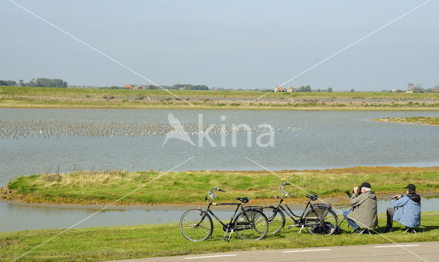 Lage land van Texel