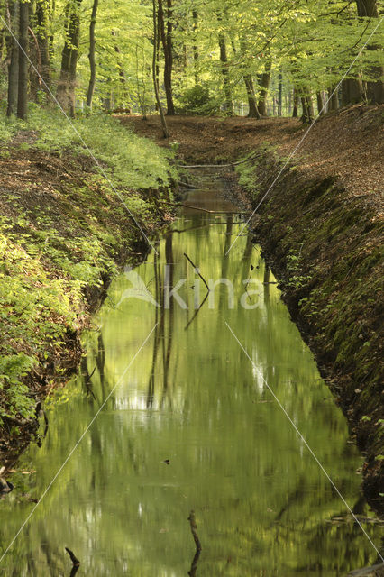 Landgoed Oud Groevenbeek