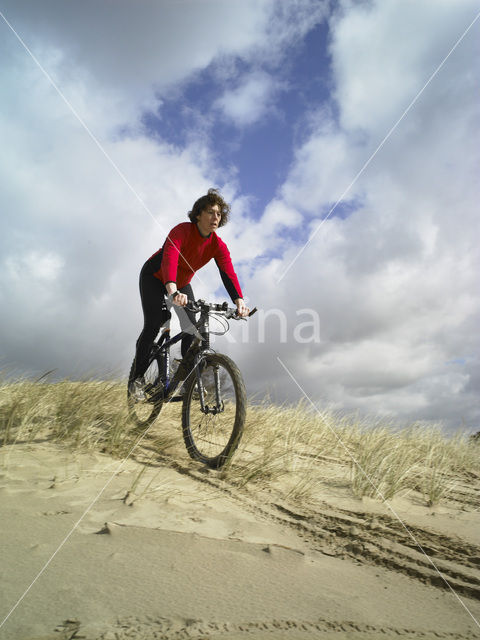 Nationaal Park Drents-Friese Wold