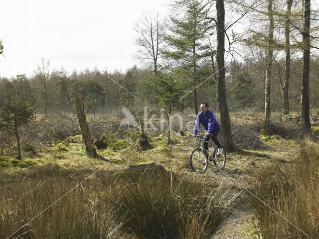 Nationaal Park Drents-Friese Wold