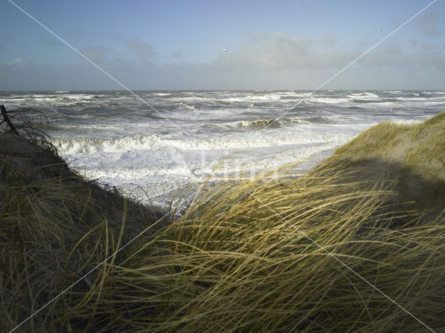 Noordzee