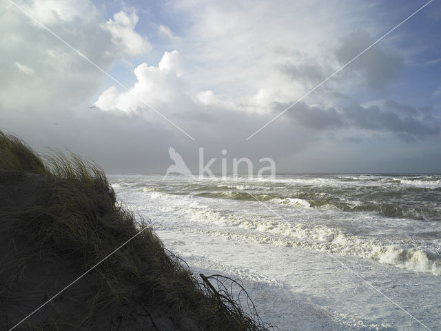 Noordzee