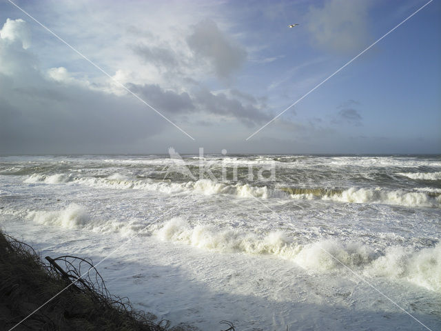 Noordzee