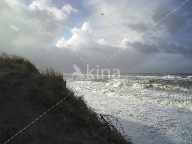 Noordzee