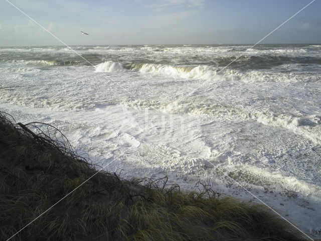 Noordzee