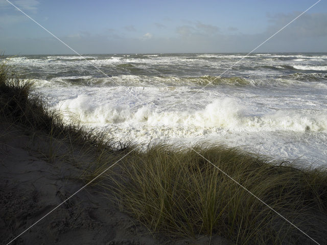 Noordzee