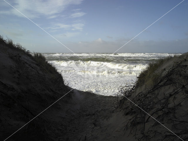 Noordzee