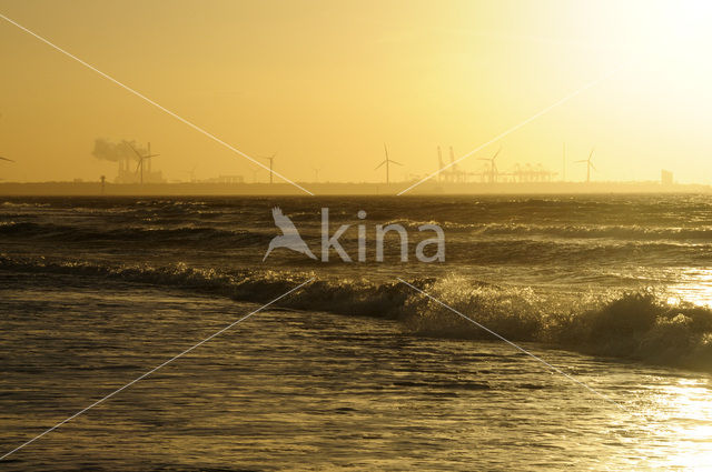 Noordzeestrand