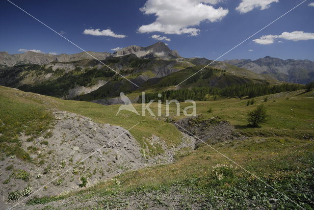 Parc National du Mercantour