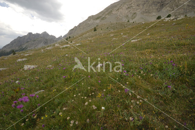 Parc National du Mercantour