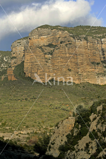 Salto de Roldan