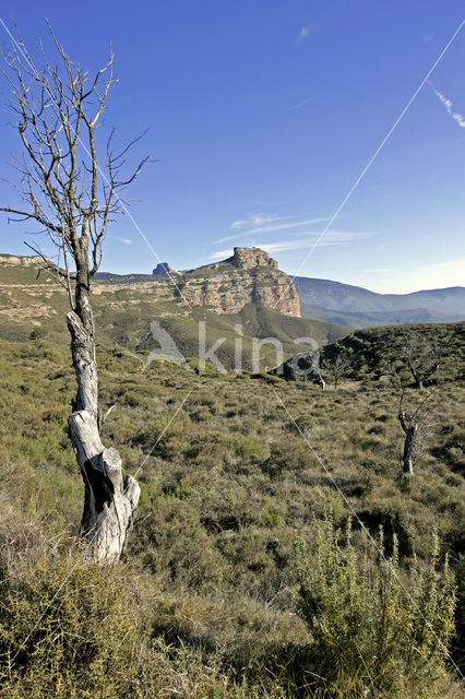 Salto de Roldan