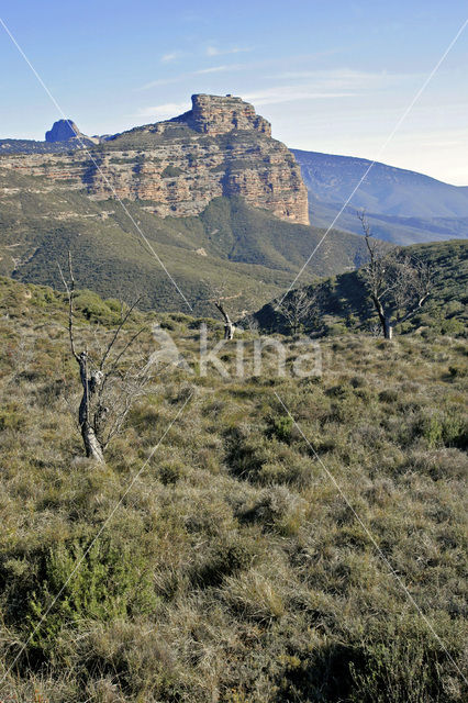 Salto de Roldan