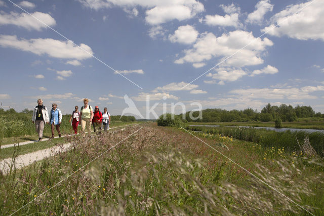 Tienhovense plassen