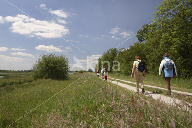 Tienhovense plassen