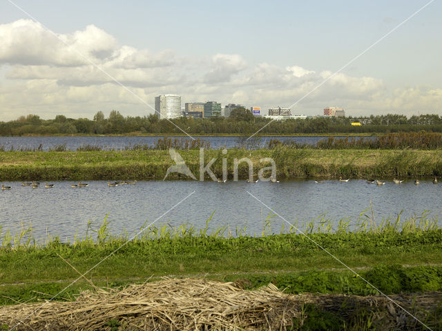 Amsterdam-Zuidoost