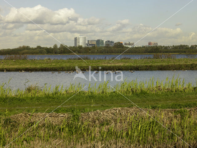 Amsterdam-Zuidoost