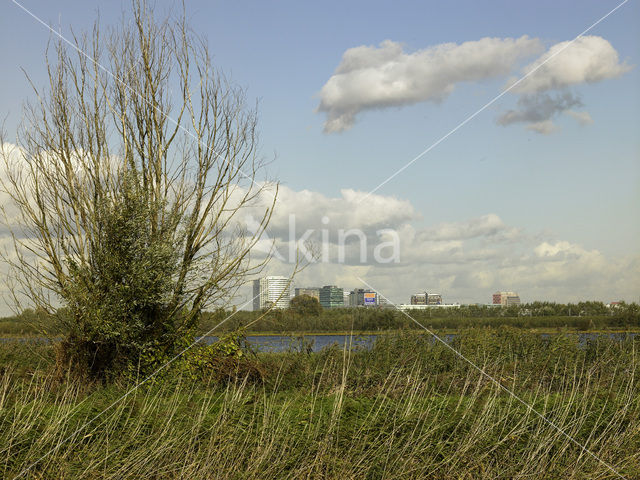 Amsterdam-Zuidoost