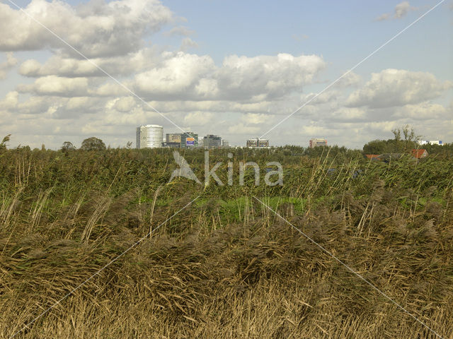 Amsterdam-Zuidoost