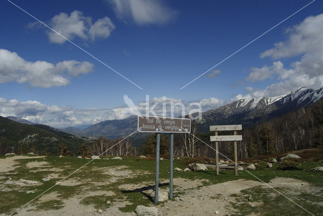 Col de Vergio