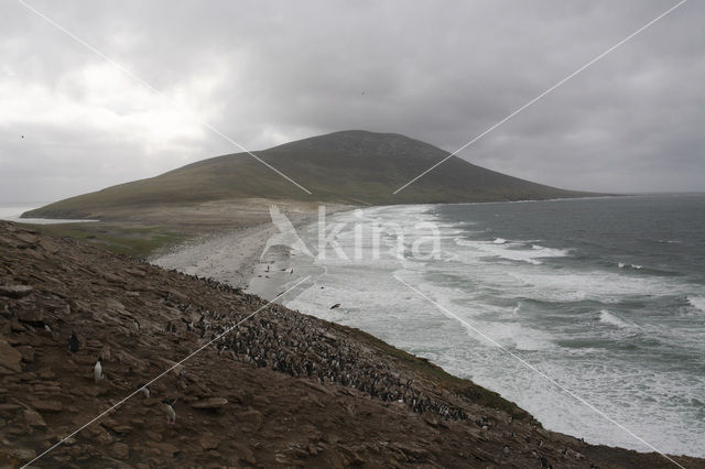 Falkland eilanden