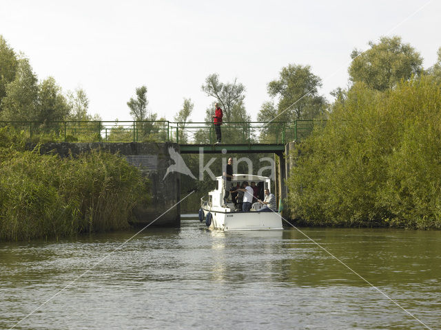 Nationaal Park de Biesbosch